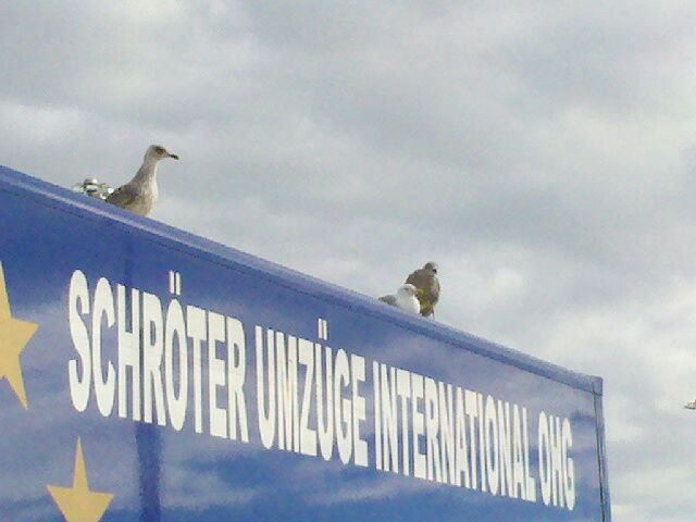 Schr&ouml;ter Umz&uuml;ge International OHG